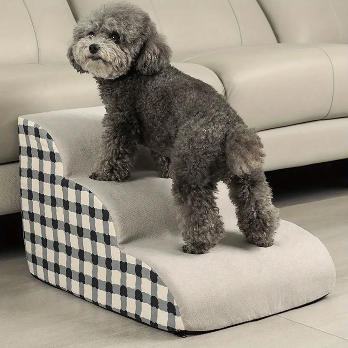 Chien gris sur l'escalier en mousse à 2 marches, à côté d'un canapé